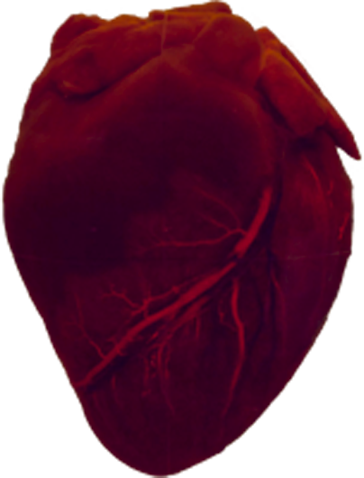 background heart image